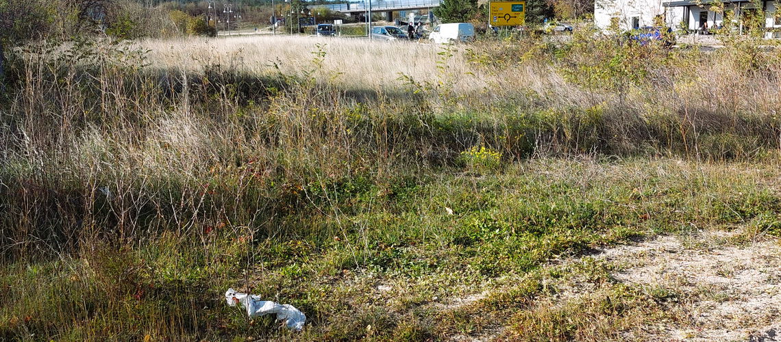 Lokacija: Obalno - kraška, Hrpelje - Kozina, Kozina