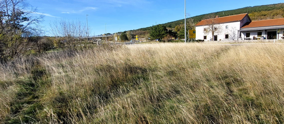 Lokacija: Obalno - kraška, Hrpelje - Kozina, Kozina