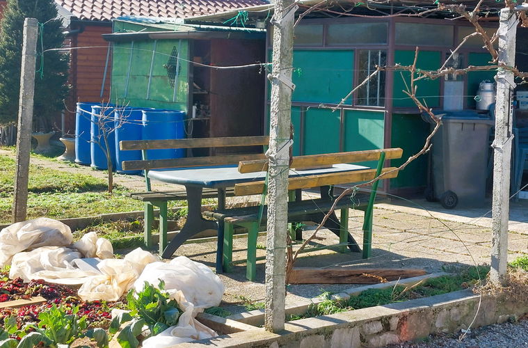 Lokacija: Obalno - kraška, Sežana, Sežana