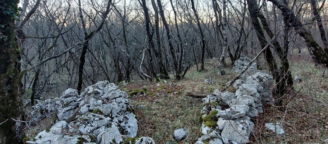 Lokacija: Obalno - kraška, Sežana, Lipica