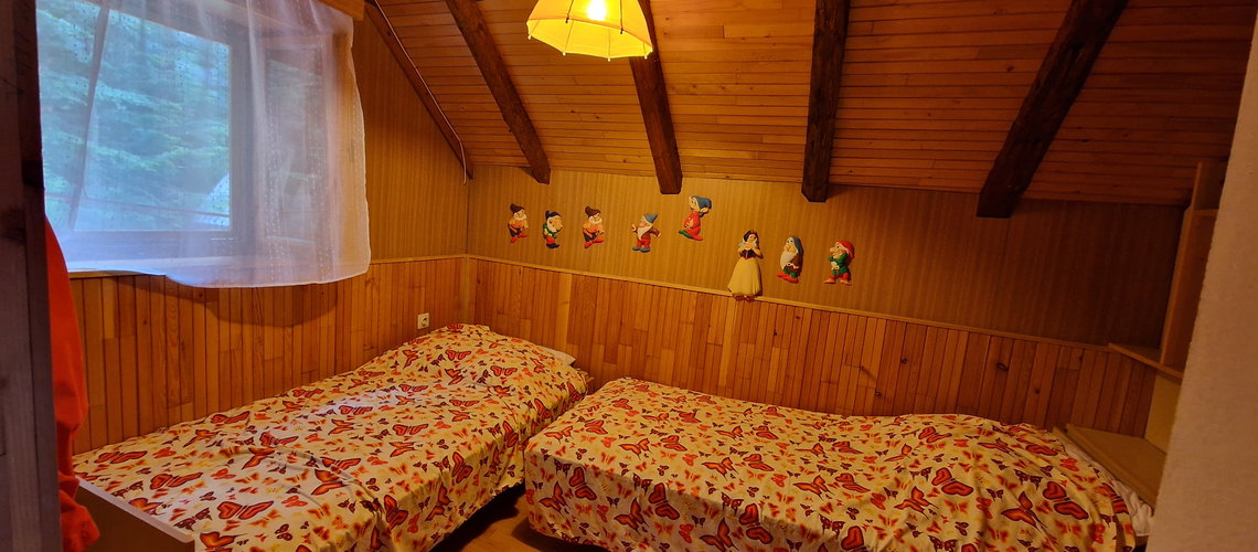 Lokacija: Notranjsko - kraška, Ilirska Bistrica, Snežnik