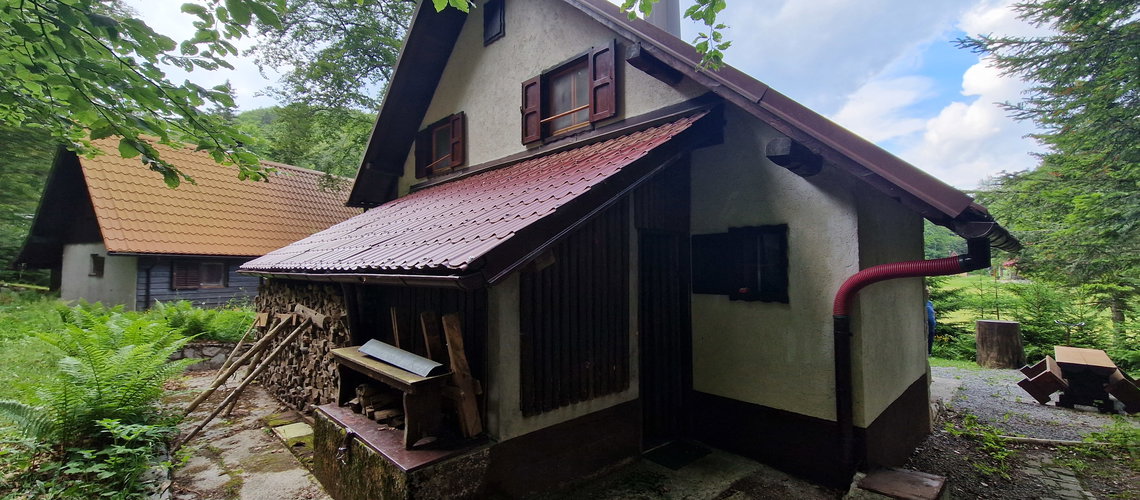 Lokacija: Notranjsko - kraška, Ilirska Bistrica, Snežnik