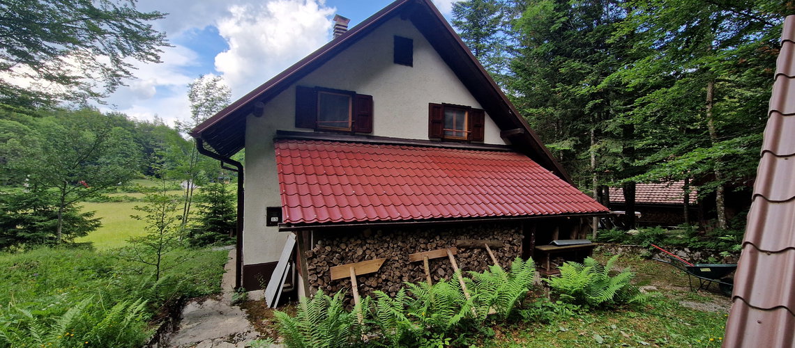 Lokacija: Notranjsko - kraška, Ilirska Bistrica, Snežnik