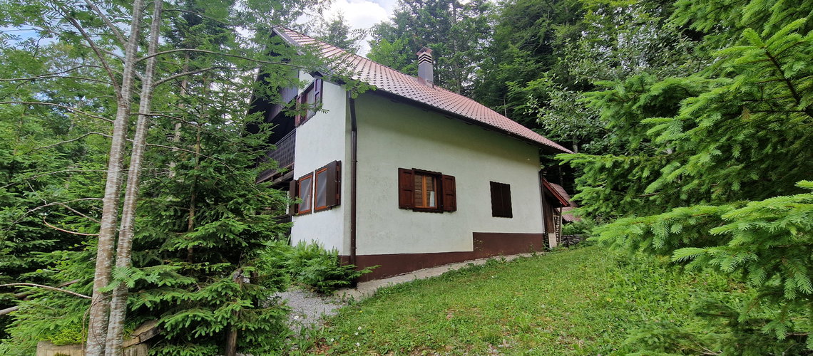 Lokacija: Notranjsko - kraška, Ilirska Bistrica, Snežnik