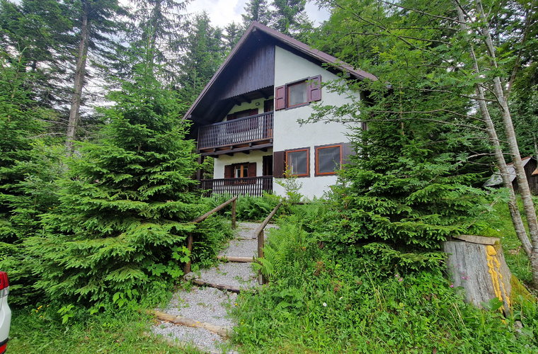 Lokacija: Notranjsko - kraška, Ilirska Bistrica, Snežnik