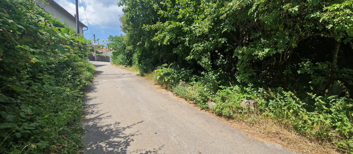 Lokacija: Obalno - kraška, Sežana, Prelože pri Lokvi