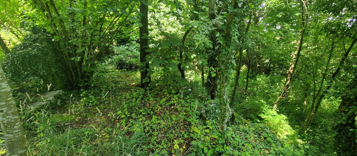 Lokacija: Obalno - kraška, Sežana, Prelože pri Lokvi