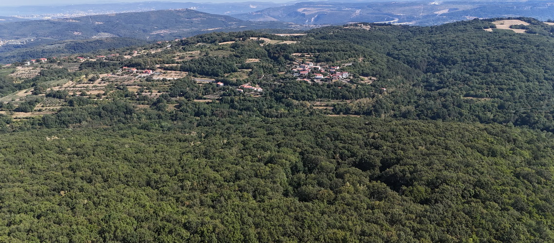 Nepremičnina: Prodaja, Parcela, Kmetijska površina Lokacija: Obalno - kraška, Koper, Lopar