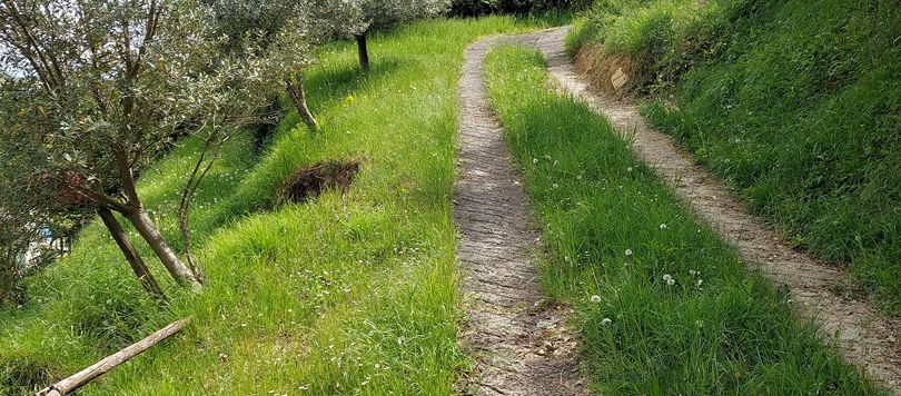 Lokacija: Obalno - kraška, Koper, Gažon