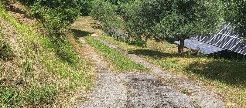 Lokacija: Obalno - kraška, Koper, Gažon