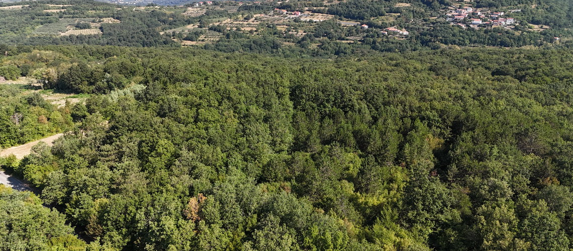 Nepremičnina: Prodaja, Parcela, Kmetijska površina Lokacija: Obalno - kraška, Koper, Lopar