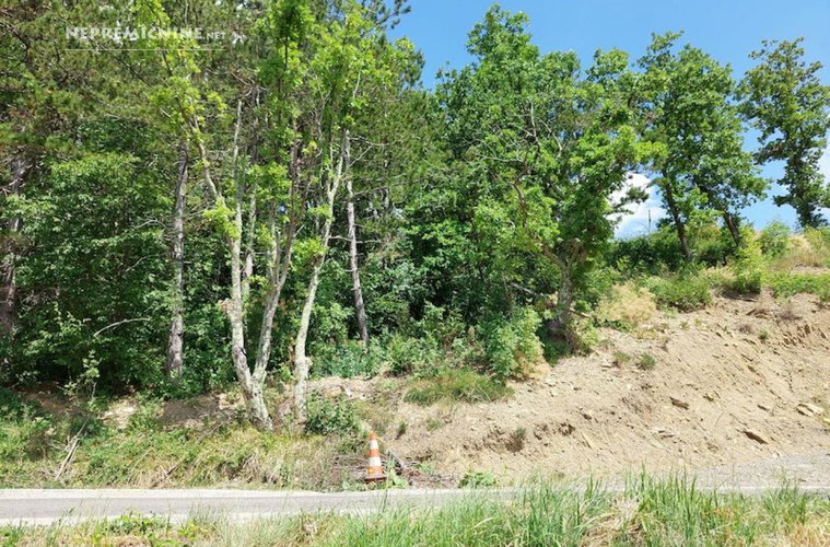 Lokacija: Obalno - kraška, Koper, Popetre