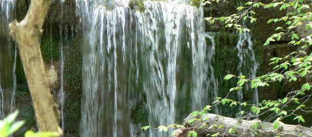 Lokacija: Obalno - kraška, Divača, Otošče