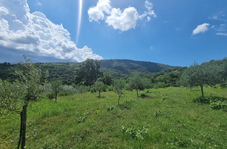 Lokacija: Obalno - kraška, Koper, Bošamarin