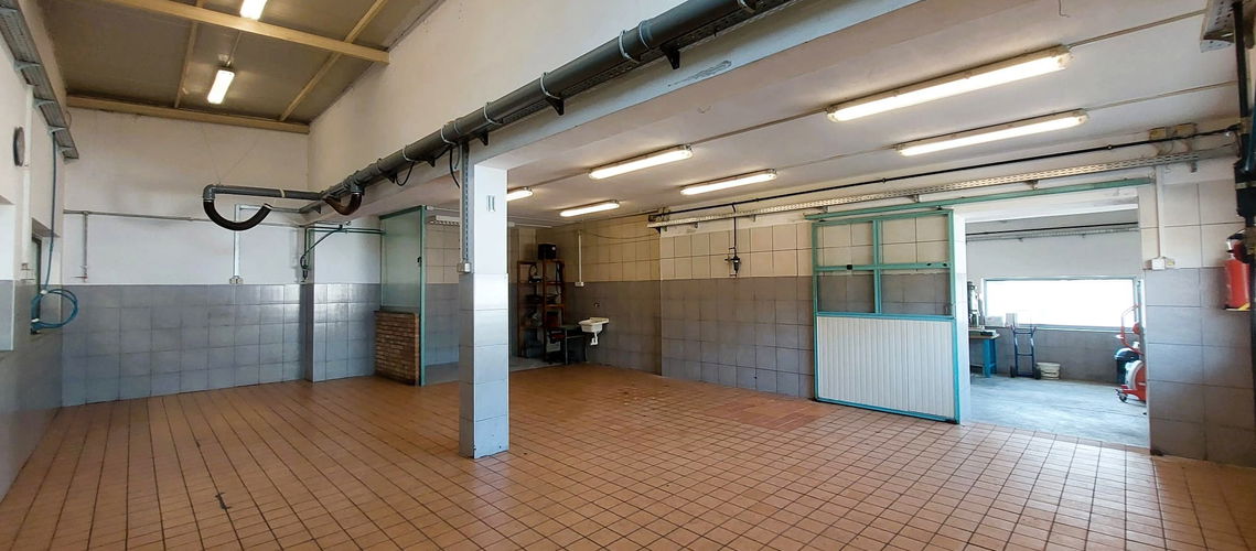 Lokacija: Goriška, Renče - Vogrsko, Bukovica