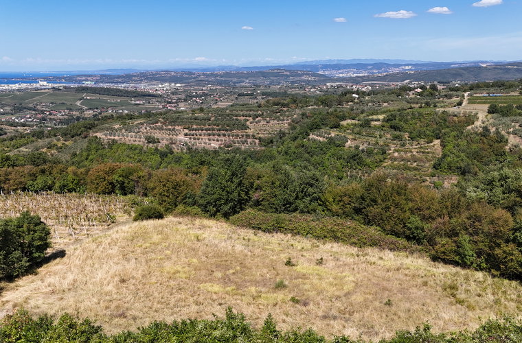 Lokacija: Obalno - kraška, Koper, Babiči