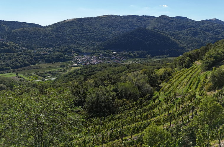 Lokacija: Goriška, Nova Gorica, Preserje