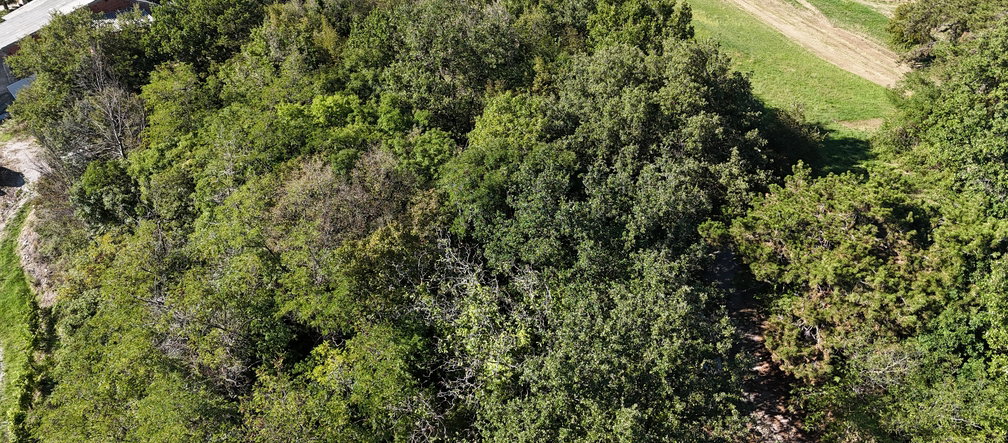 Lokacija: Goriška, Nova Gorica, Preserje