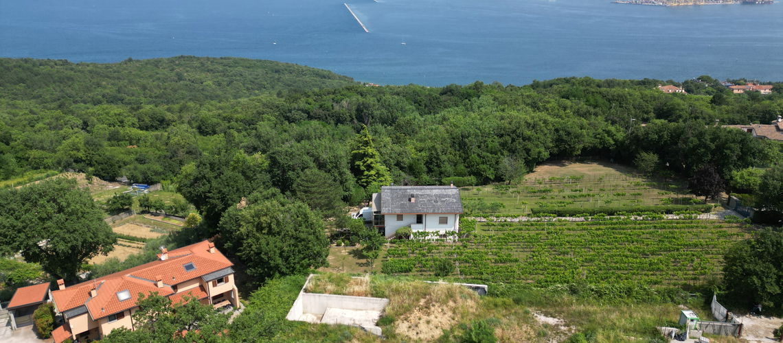 Lokacija: , Muggia