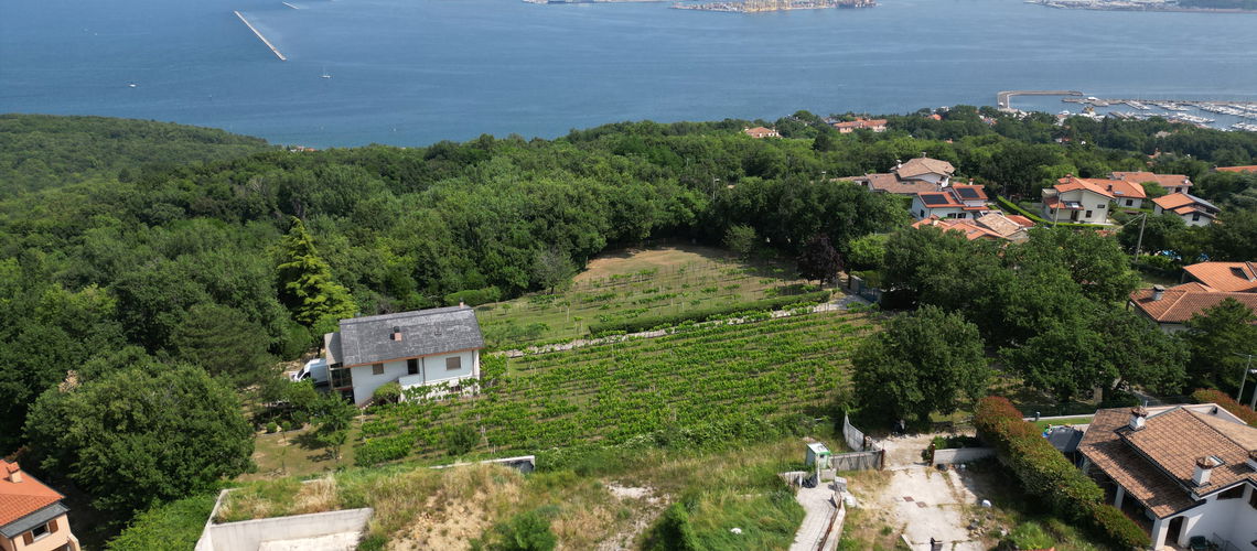 Lokacija: , Muggia