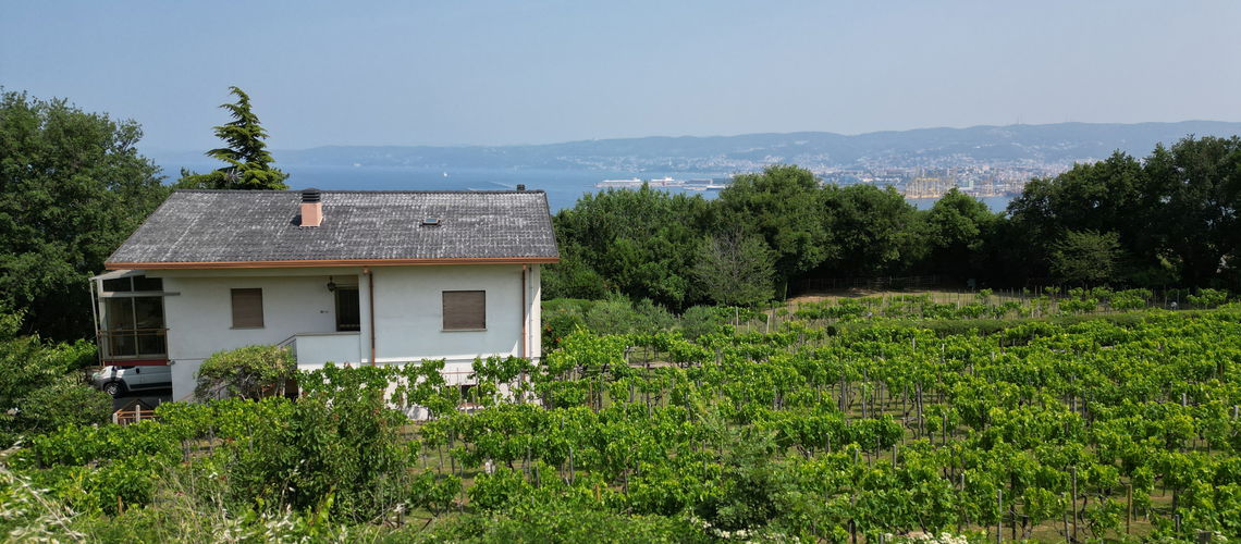 Lokacija: , Muggia