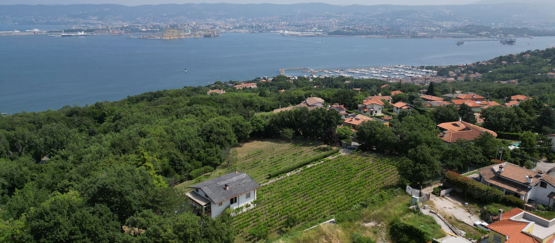 Lokacija: , Muggia