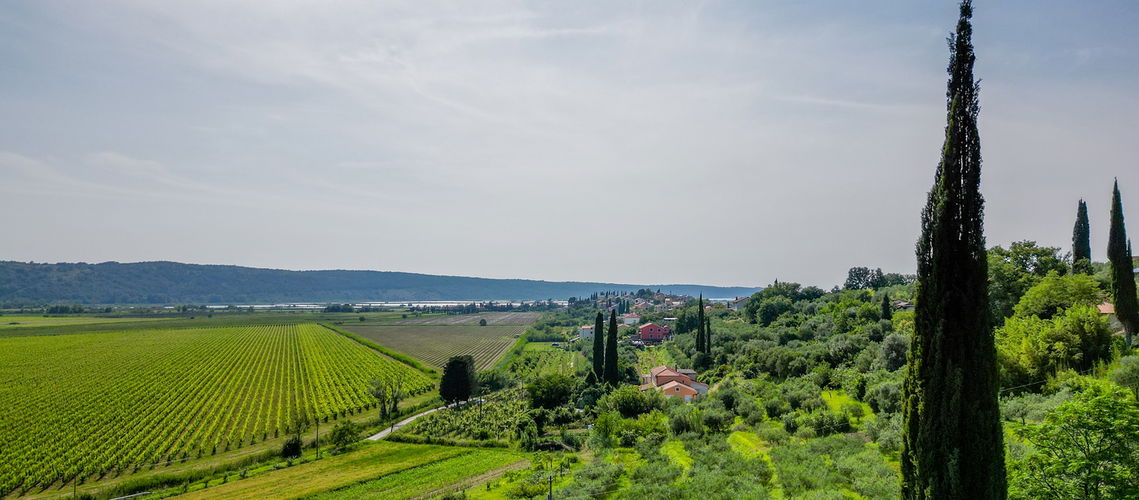 Lokacija: Obalno - kraška, Piran, Sečovlje