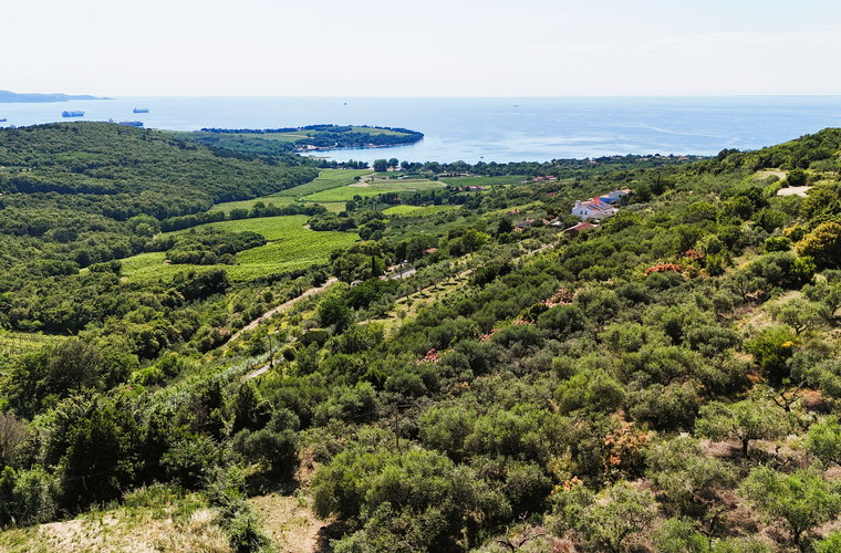 Lokacija: Obalno - kraška, Koper, Kolomban