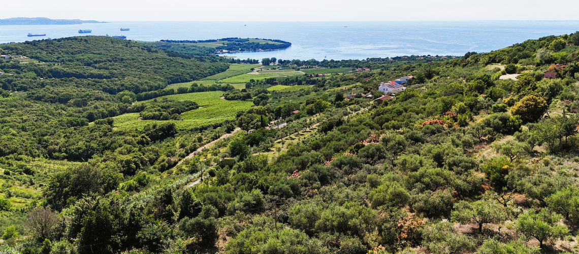Lokacija: Obalno - kraška, Koper, Kolomban