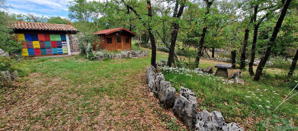 Lokacija: Goriška, Miren - Kostanjevica, Opatje Selo
