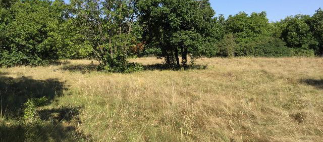 Lokacija: Obalno - kraška, Sežana