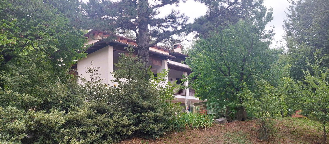 Lokacija: Obalno - kraška, Sežana, Plešivica