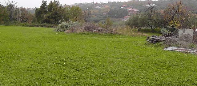 Lokacija: Obalno - kraška, Ankaran, Ankaran