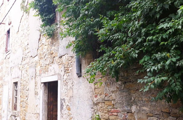 Location: Coastal-Karst, Koper, Center