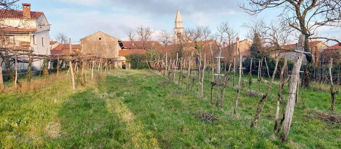 Location: Coastal-Karst, Komen, Kobjeglava