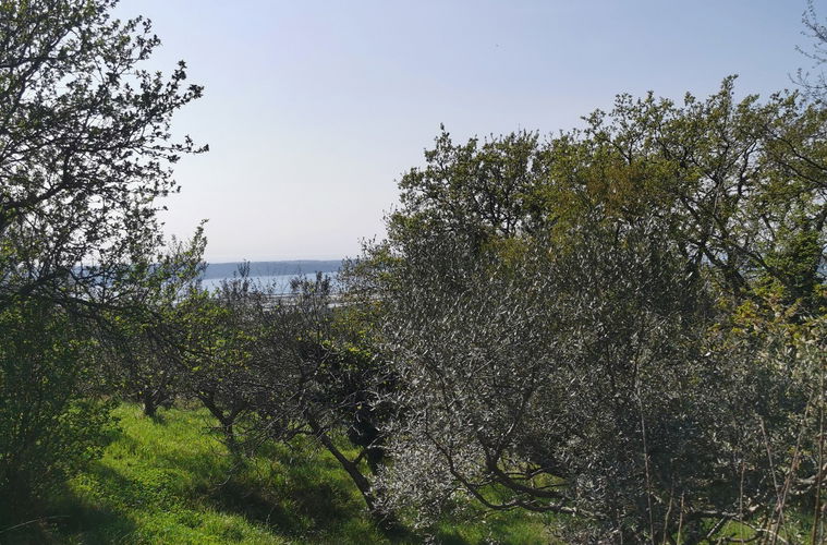 Lokacija: Obalno - kraška, Izola, Nožed