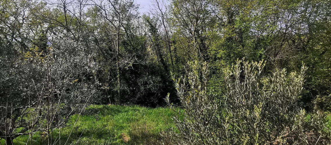 Lokacija: Obalno - kraška, Izola, Nožed