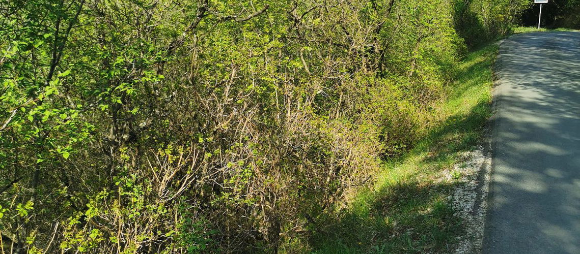 Lokacija: Obalno - kraška, Izola, Nožed