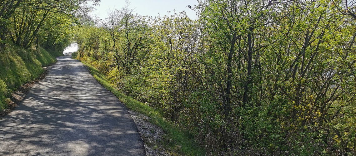 Lokacija: Obalno - kraška, Izola, Nožed