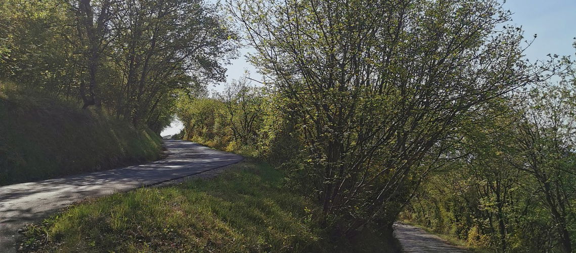 Lokacija: Obalno - kraška, Izola, Nožed