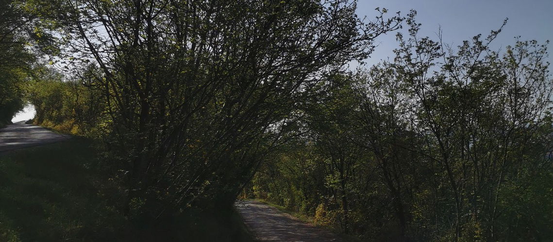Lokacija: Obalno - kraška, Izola, Nožed