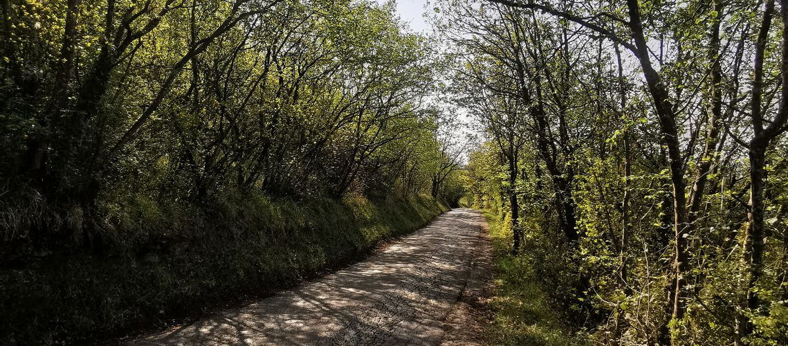 Lokacija: Obalno - kraška, Izola, Nožed