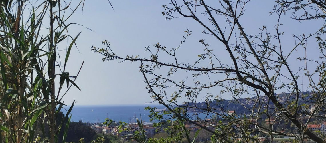 Lokacija: Obalno - kraška, Izola, Nožed