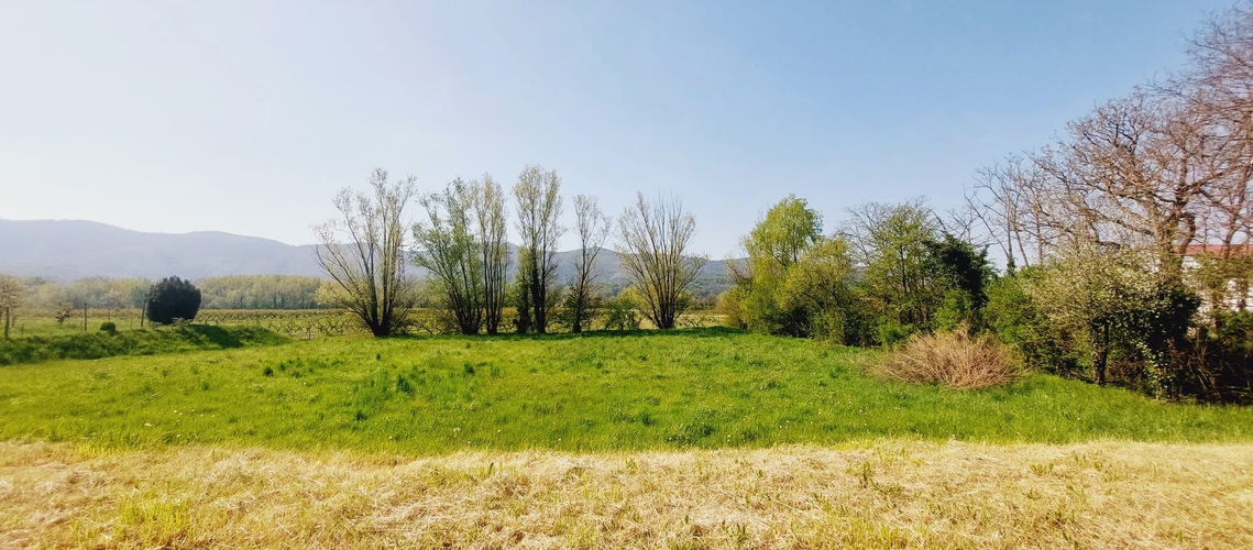 Lokacija: Goriška, Renče - Vogrsko, Bukovica