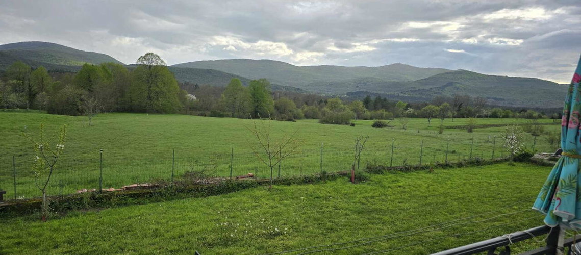Lokacija: Obalno - kraška, Hrpelje - Kozina, Markovščina