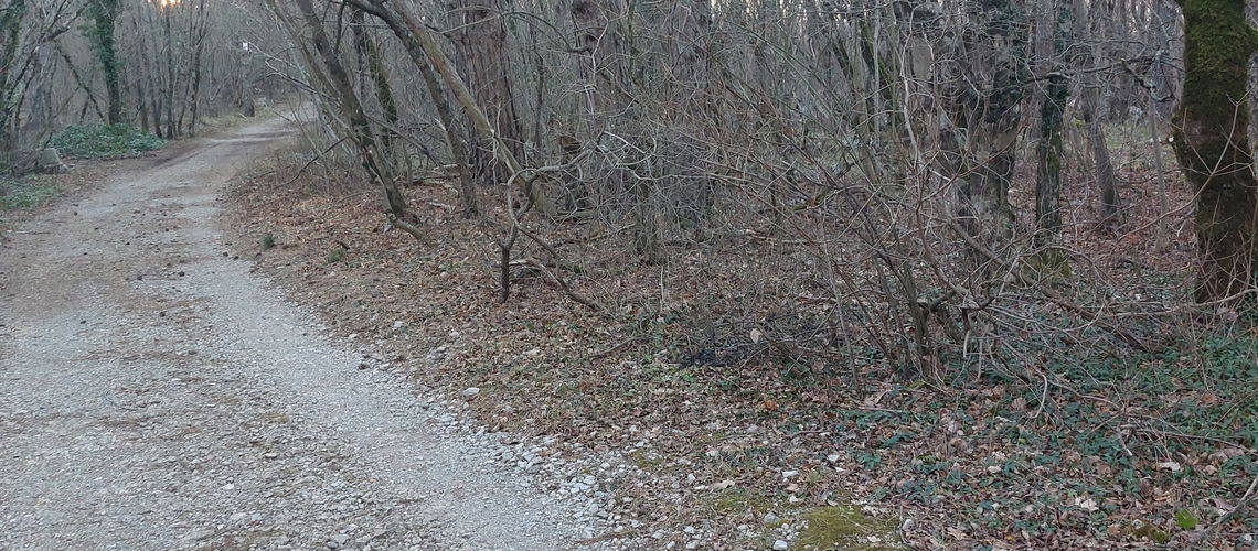 Lokacija: Obalno - kraška, Sežana, Lipica
