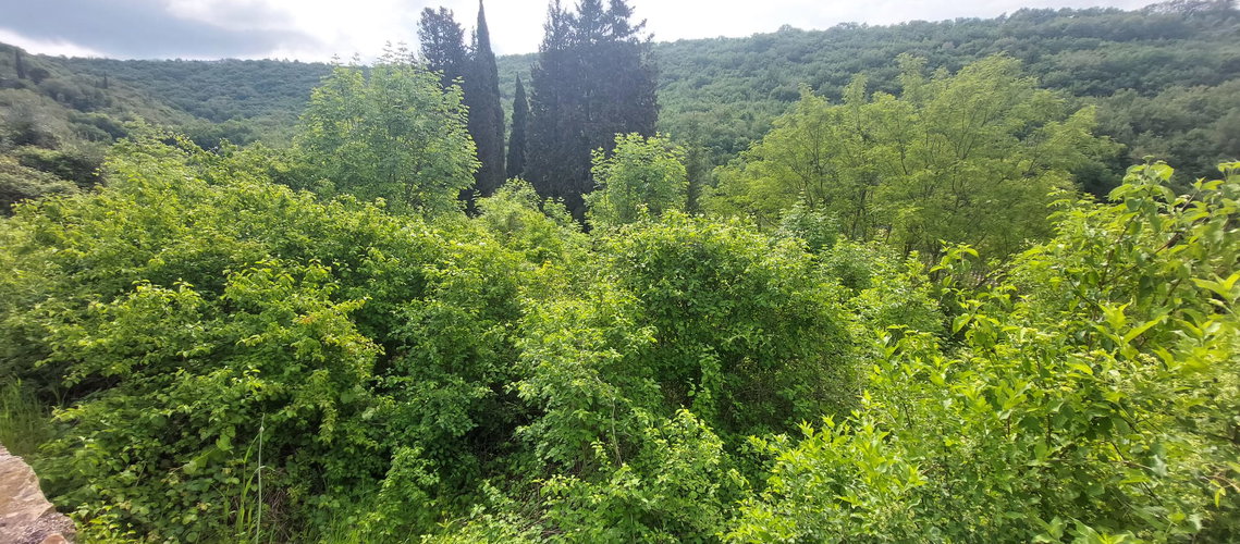 Lokacija: Obalno - kraška, Piran, Lucija