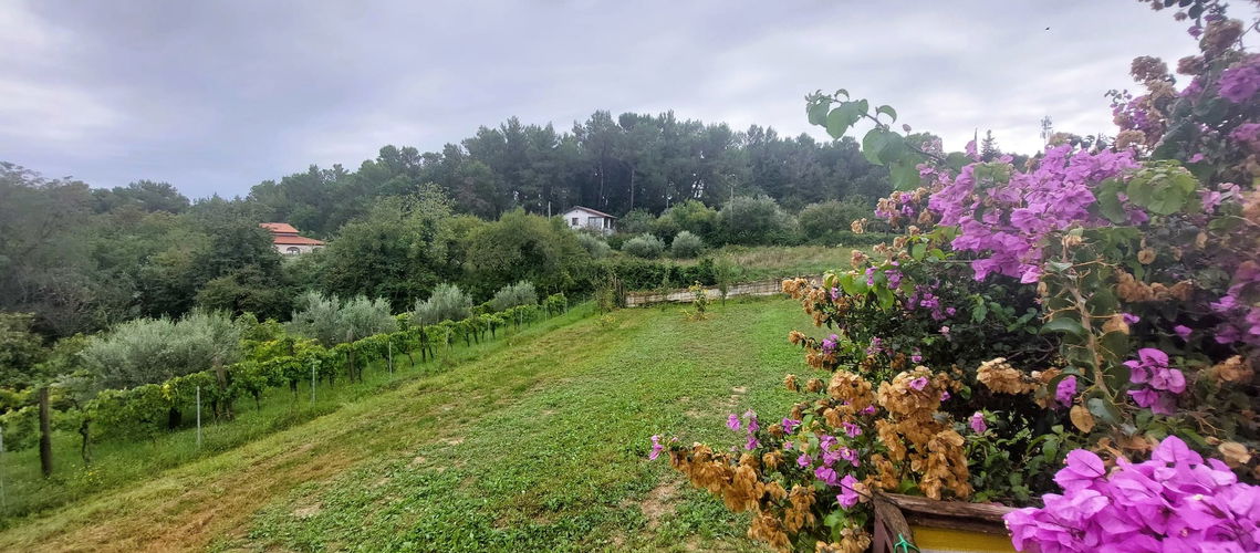 Nepremičnina: Prodaja, Hiša, Dvostanovanjska Lokacija: Obalno - kraška, Koper, Bertoki