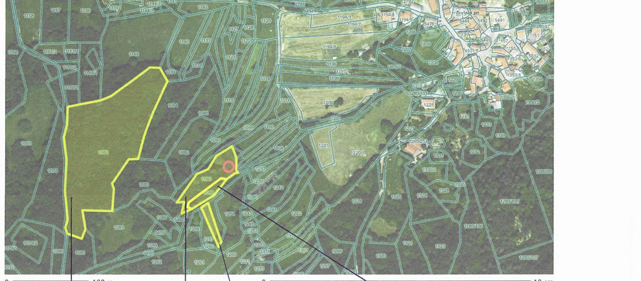 Lokacija: Obalno - kraška, Sežana, Prelože pri Lokvi