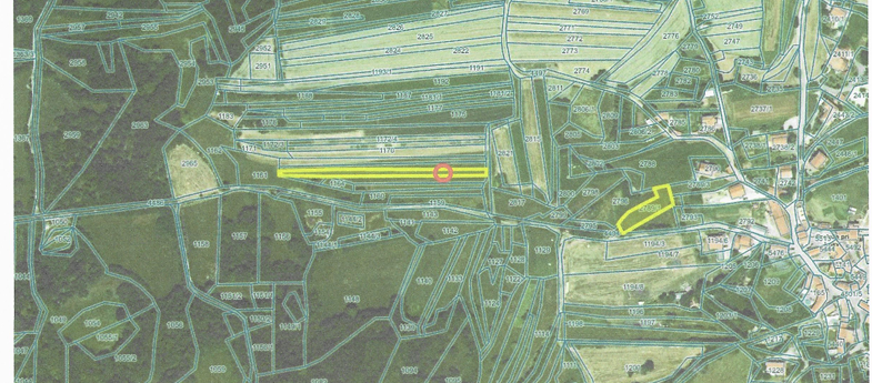 Lokacija: Obalno - kraška, Sežana, Prelože pri Lokvi